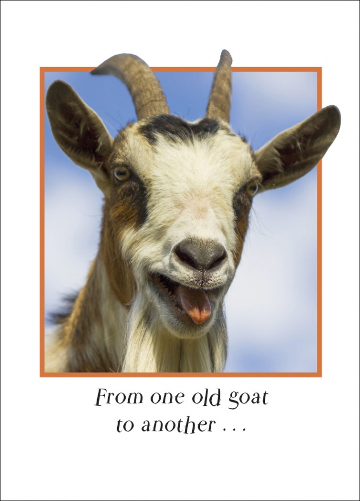 Old Goat  Sugarhouse Greetings